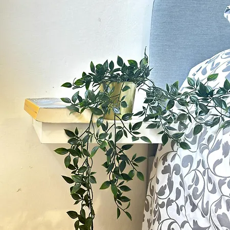 Terrace Of Peace View Over The Ocean *