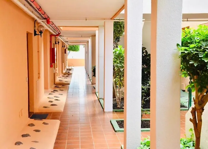 Appartement Terrace Of Peace View Over The Ocean *